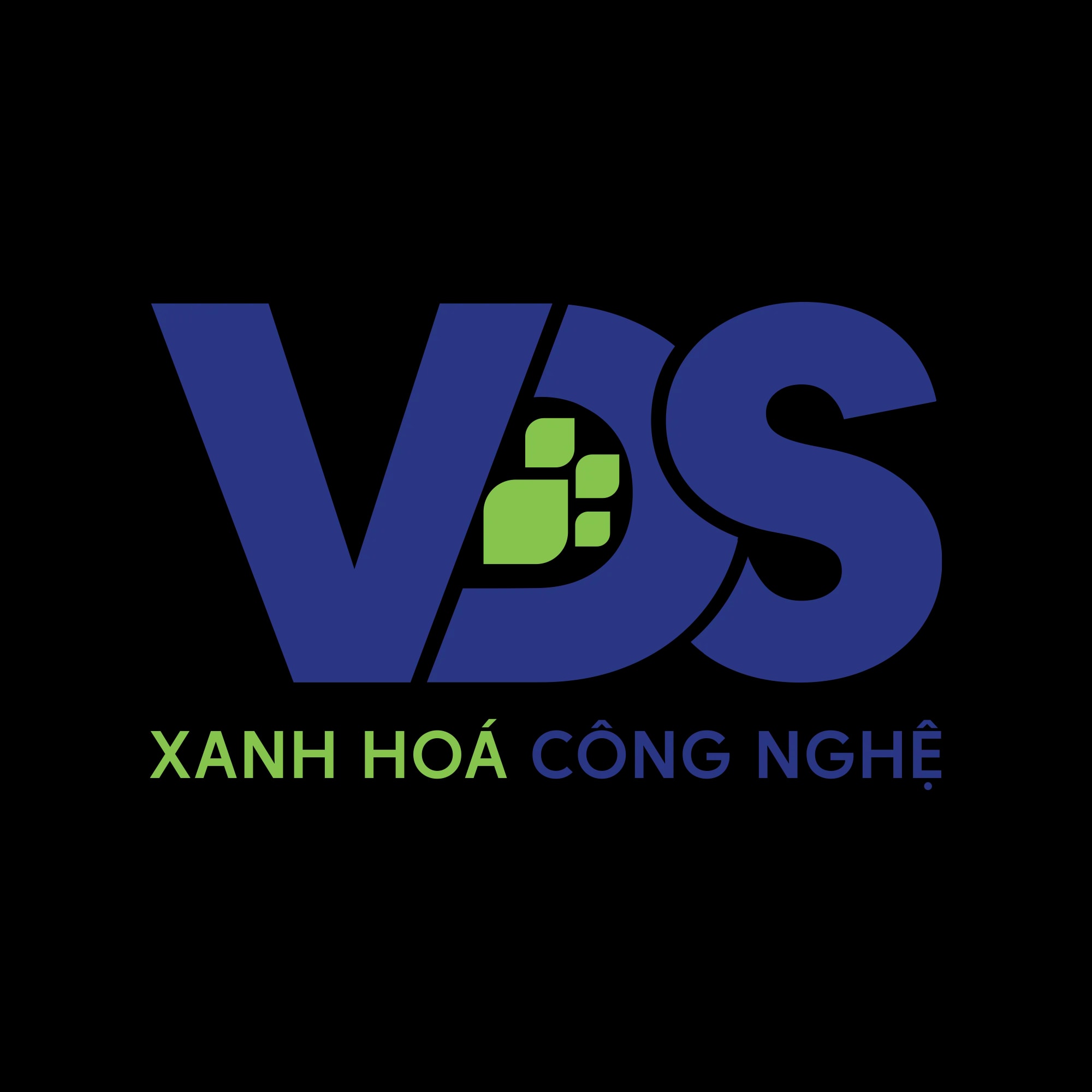 VDS Logo