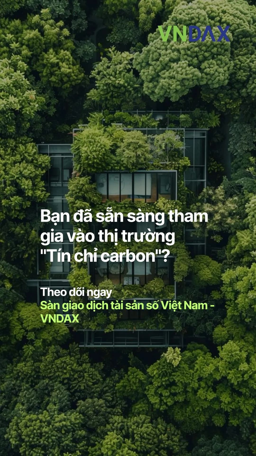 Carbon Credit Experience