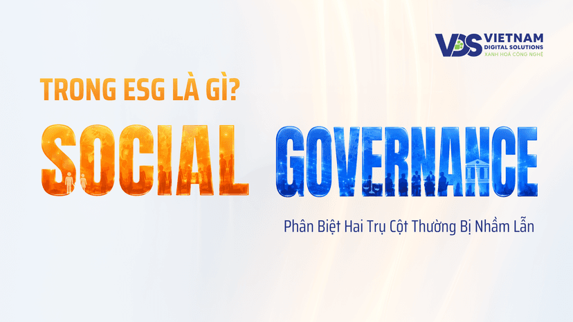 Social và Governance Trong ESG Là Gì? Phân Biệt Hai Trụ Cột Thường Bị Nhầm Lẫn