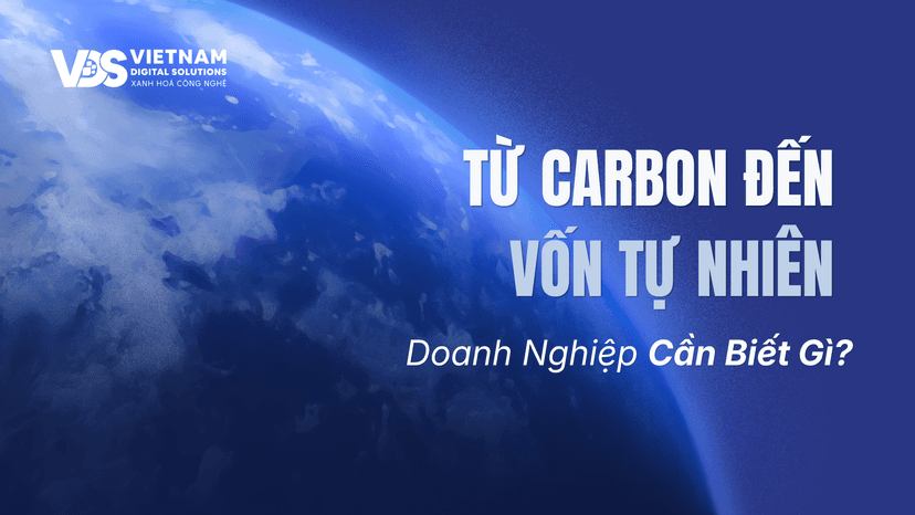 Từ Carbon Đến Vốn Tự Nhiên: Doanh Nghiệp Cần Biết Gì?